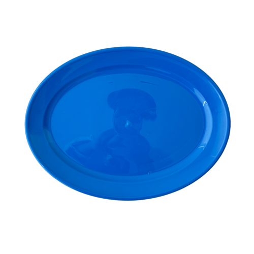 Plato Tampiqueño